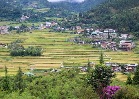 Auf dem Weg zum Kloster Chimi Lhakhang