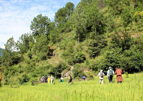 Leichte Wanderung bis zur Stupa