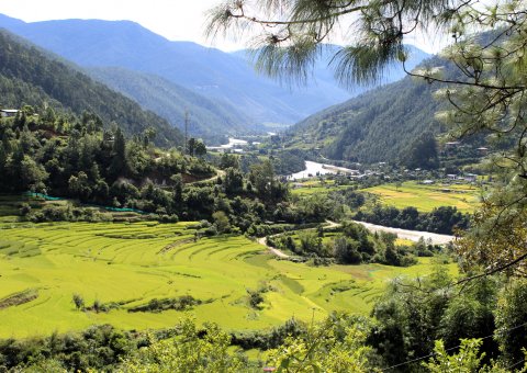 Auf einem kleinen Hügel in Punakha steht der dreistöckige Tempel Khamsum Yulley Namgyal