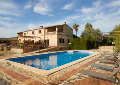 Am Pool unter Palmen entspannen