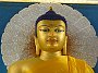 Buddhismus Pilgerreise Indien Bodhygaya Buddha Gruppenreise