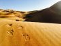 Die Sahara erstreckt sich über fast 6000 km quer durch Nordafrika
