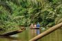 Bootsfahrt durch den Tortuguero Nationalpark