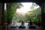 Yoga und Meditation mit Blick auf den Regenwald
