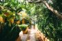 Entdecken Sie die ruhige Eleganz des Resorts